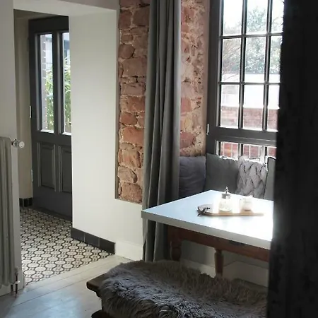 Junior The Backyard Tby 01 Trier