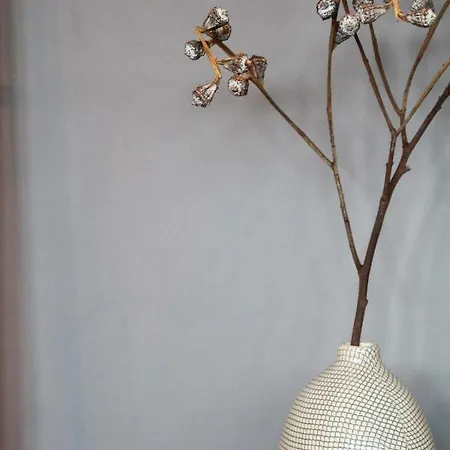 Junior The Backyard Tby 01 * Trier