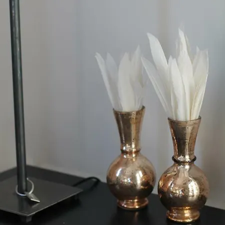 Junior The Backyard Tby 01 トリーア