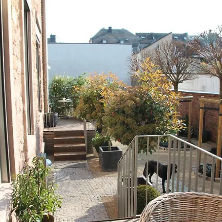 Junior The Backyard Tby 01 Apartment