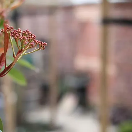 Apartamento Junior The Backyard Tby 01