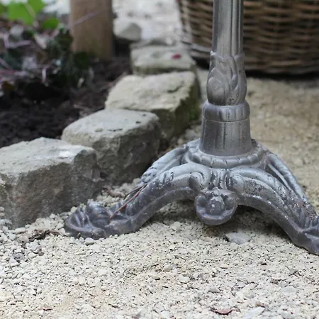 Junior The Backyard Tby 01 Trier