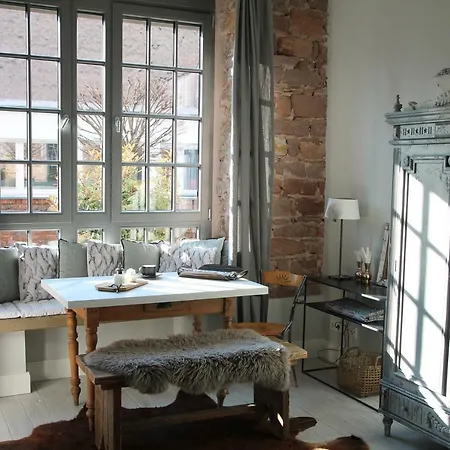 Junior The Backyard Tby 01 アパート