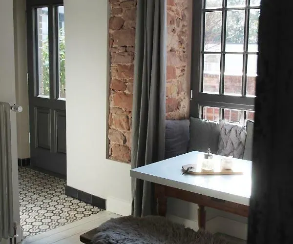 Junior The Backyard Tby 01 Treviri