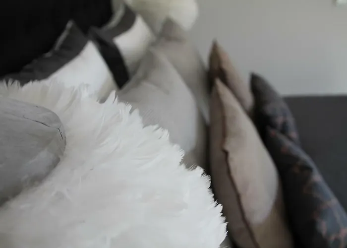 Apartment Junior The Backyard Tby 01 Trier