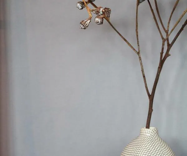 Junior The Backyard Tby 01 * Treviri