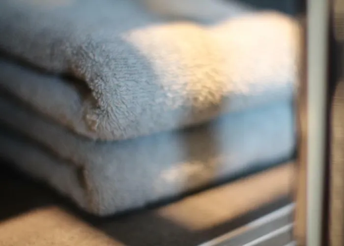 Junior The Backyard Tby 01 Trier