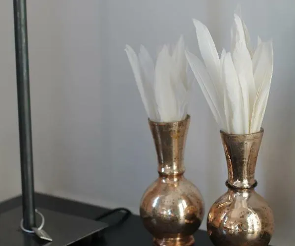 Junior The Backyard Tby 01 Treviri