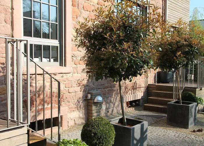 Junior The Backyard Tby 01 *