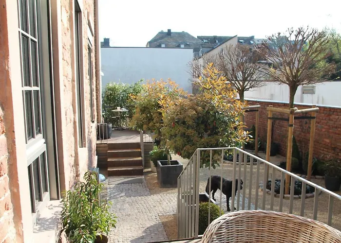 Junior The Backyard Tby 01 Apartment