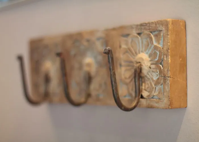 Junior The Backyard Tby 01 * Treviri