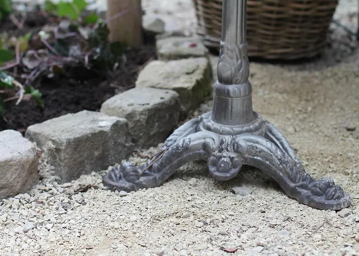 Junior The Backyard Tby 01 Treviri