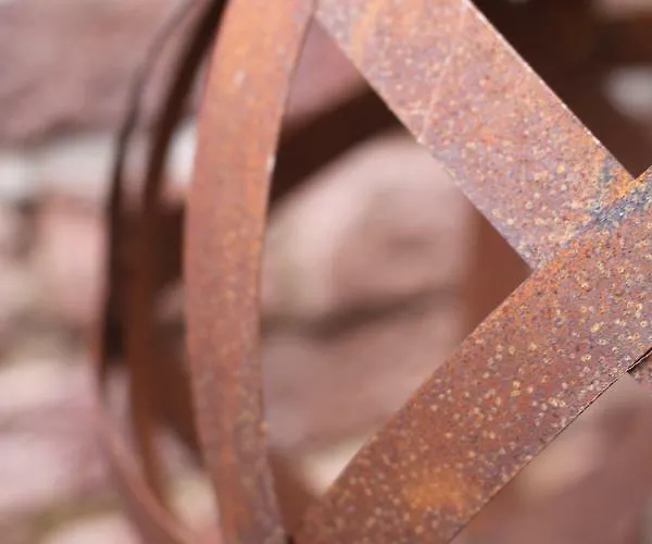 Apartment Junior The Backyard Tby 01